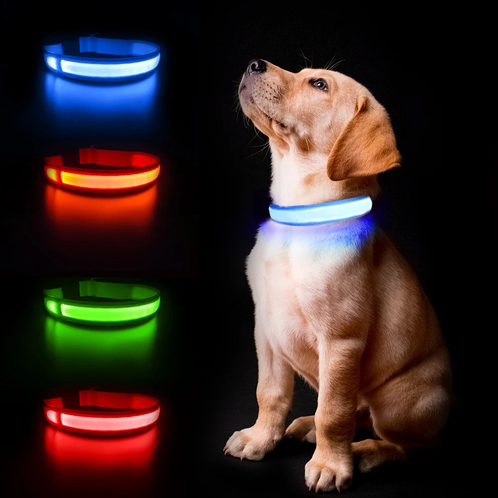 Dog Collar Luminous Waterpoof Safety Collars