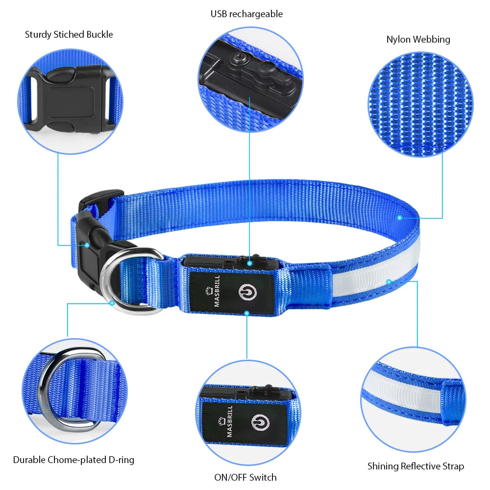 Dog Collar Luminous Waterpoof Safety Collars