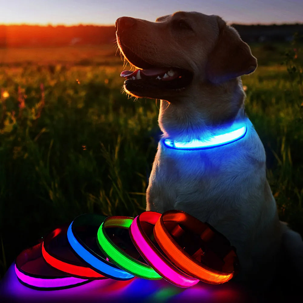 Dog Collar Luminous Waterpoof Safety Collars