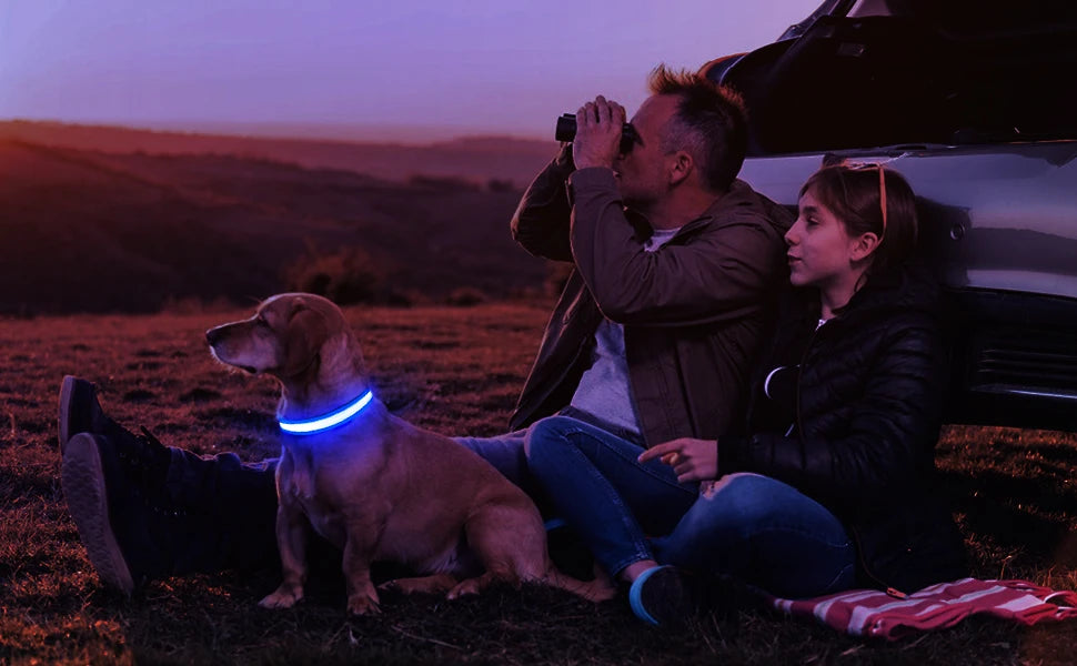 Dog Collar Luminous Waterpoof Safety Collars