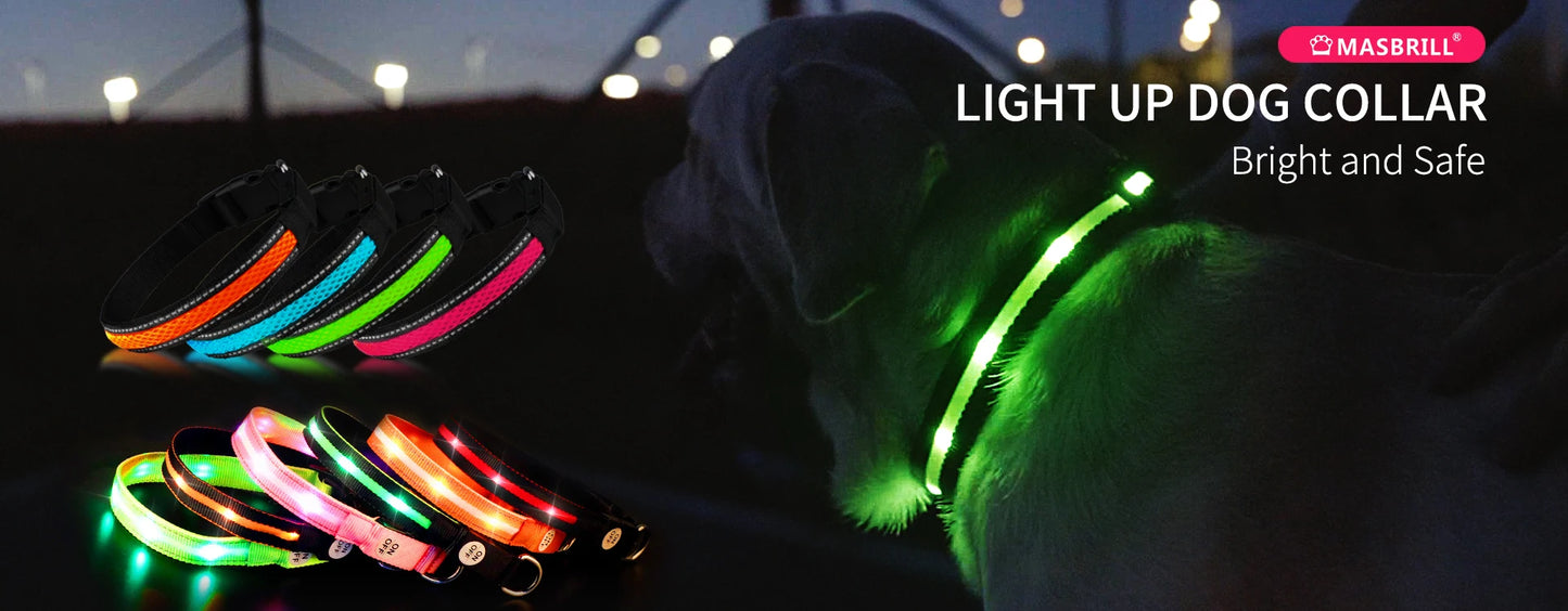 Dog Collar Luminous Waterpoof Safety Collars