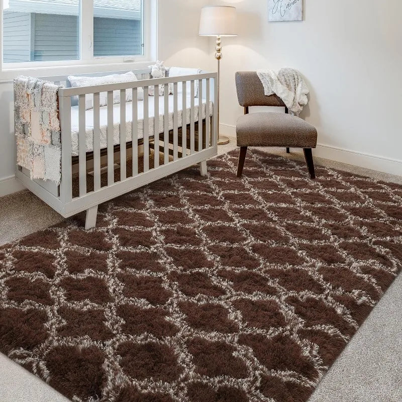 Shag Large Area Rug Modern Super-Soft Bedroom Carpet